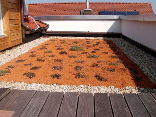 Dachbegrünung mit Substrat und Sedum-Pflanzen