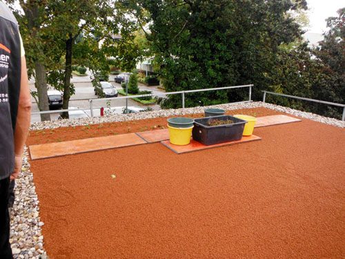 Dachbegrünung mit Substrat und Sedum-Pflanzen