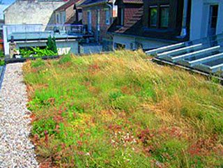 Dachbegrünung mit Substrat und Sedum-Pflanzen