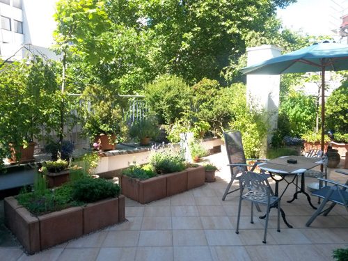 Pflanztröge auf einer Dachterrasse